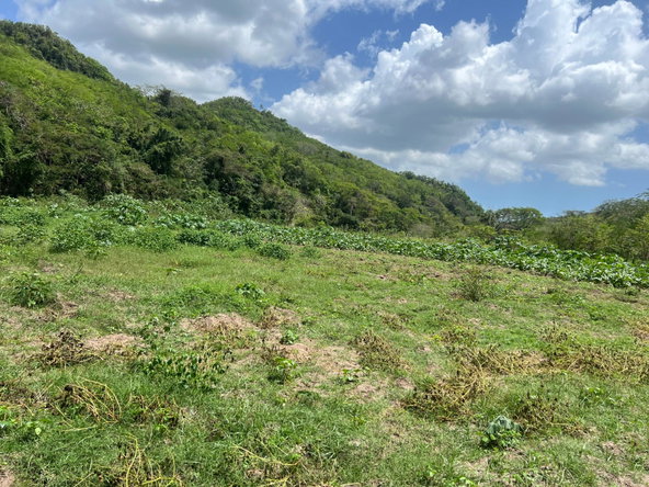 Twentieth image of Rock River,retreat,claren in Rock River, Clarendon, Jamaica - property is For Sale