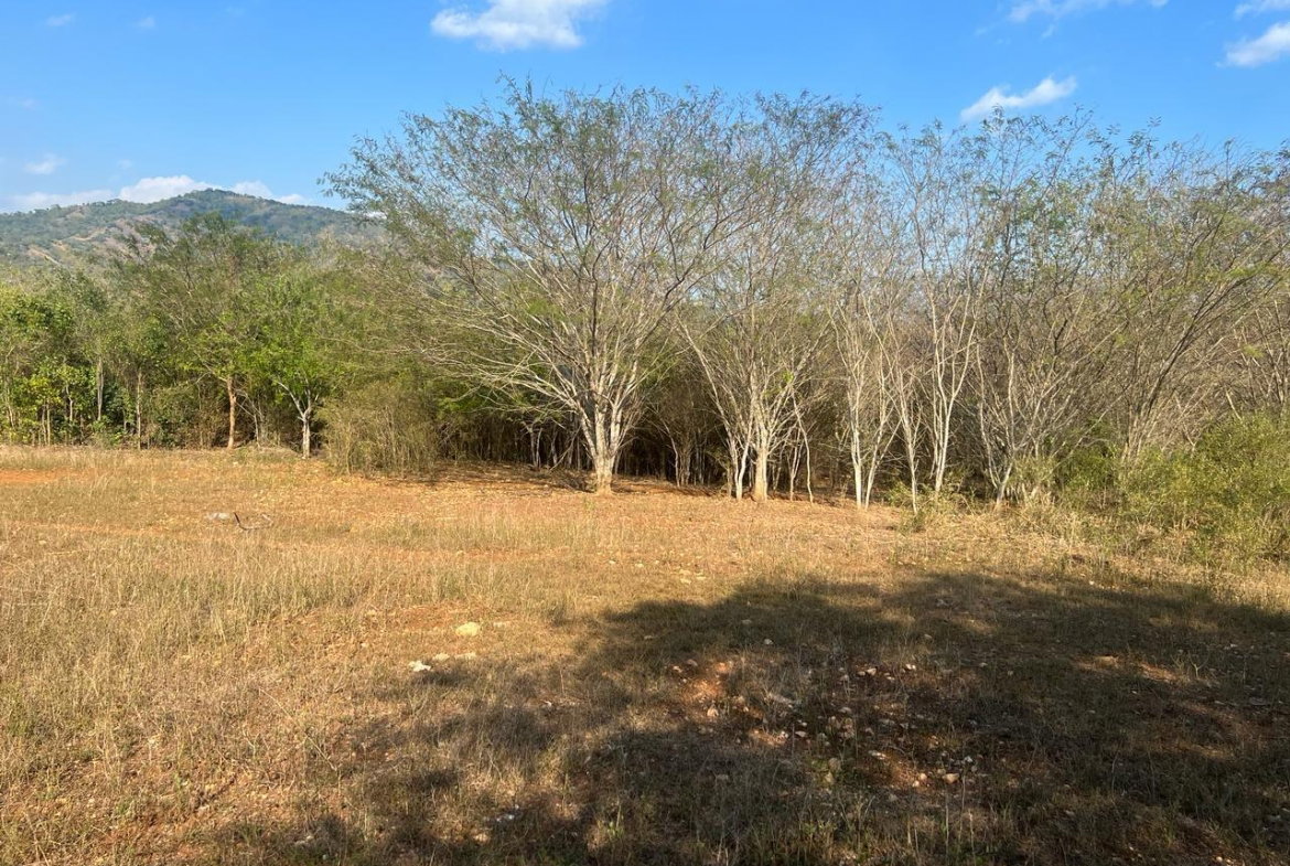 Third image of Rock River,retreat,claren in Rock River, Clarendon, Jamaica - property is For Sale