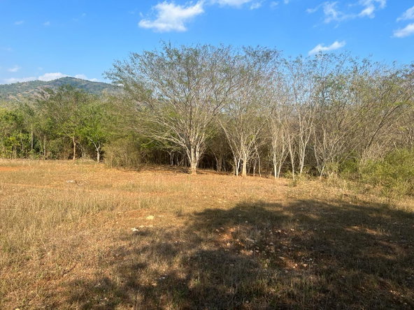 Third image of Rock River,retreat,claren in Rock River, Clarendon, Jamaica - property is For Sale