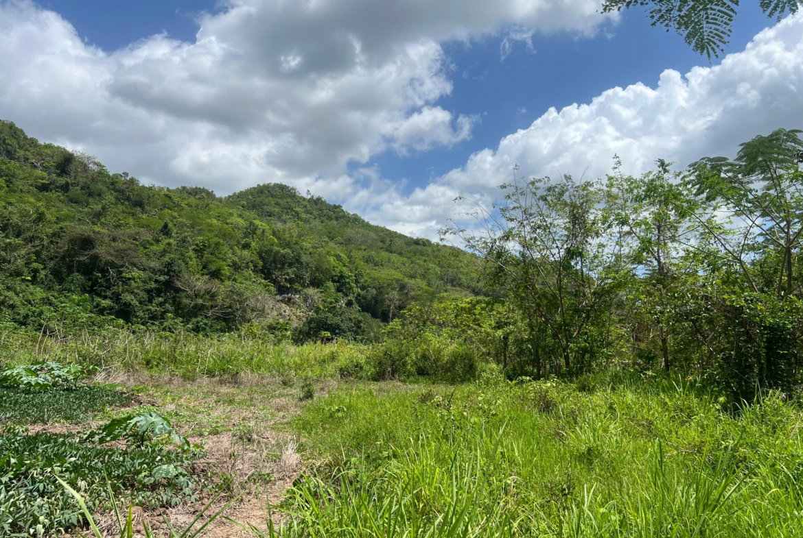Twenty-Second image of Rock River,retreat,claren in Rock River, Clarendon, Jamaica - property is For Sale