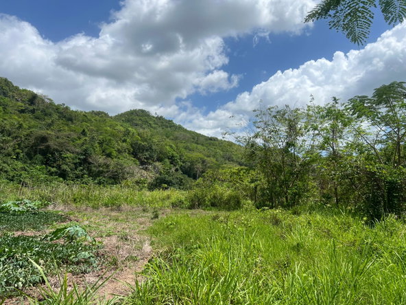 Twenty-Second image of Rock River,retreat,claren in Rock River, Clarendon, Jamaica - property is For Sale