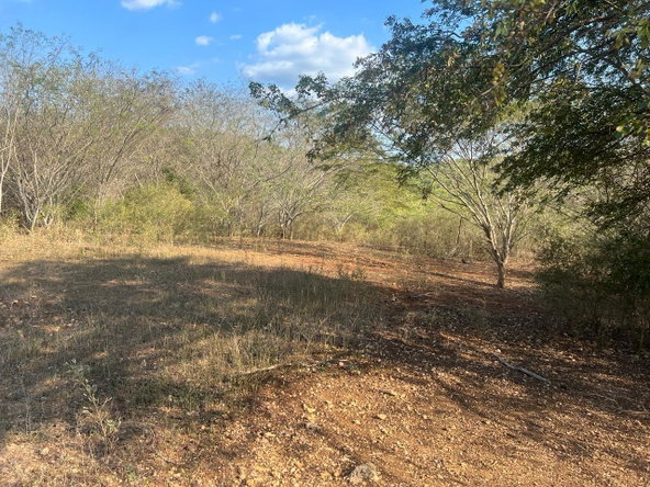 Fourth image of Rock River,retreat,claren in Rock River, Clarendon, Jamaica - property is For Sale