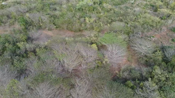 Seventh image of Rock River,retreat,claren in Rock River, Clarendon, Jamaica - property is For Sale