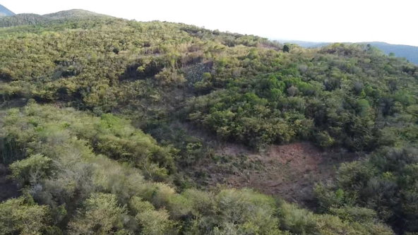 Eighth image of Rock River,retreat,claren in Rock River, Clarendon, Jamaica - property is For Sale