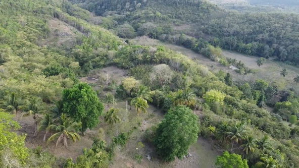 Ninth image of Rock River,retreat,claren in Rock River, Clarendon, Jamaica - property is For Sale