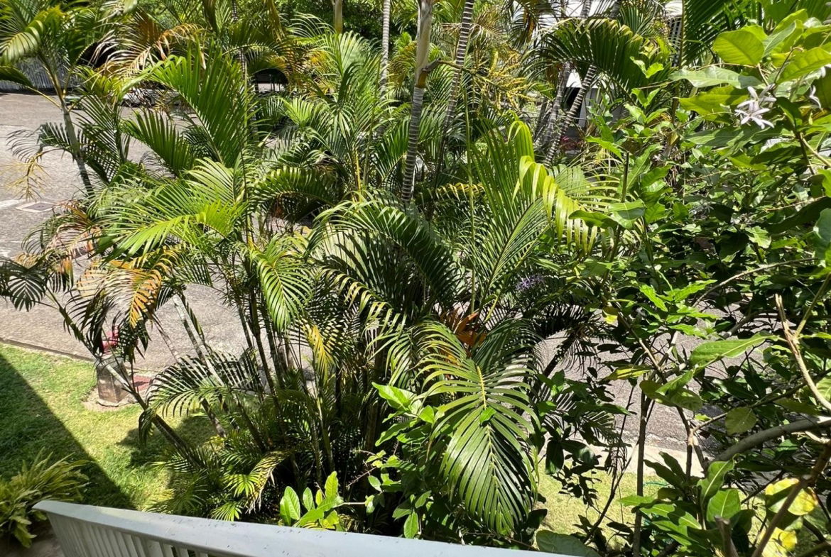 Twentieth image of 8-184a Constant Spring Road in Kingston 8, St. Andrew, Jamaica - property is For Rent