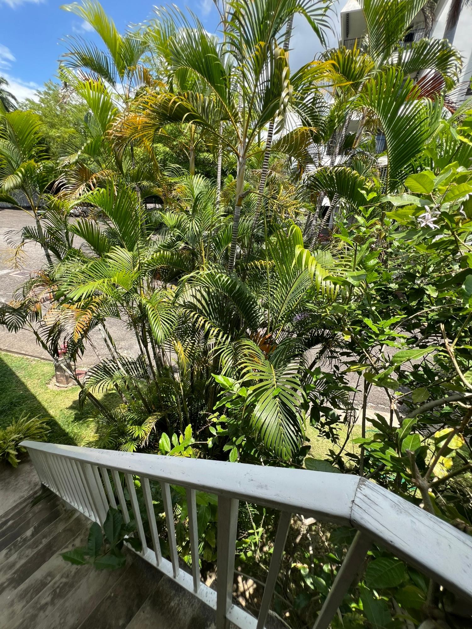 Twentieth image of 8-184a Constant Spring Road in Kingston 8, St. Andrew, Jamaica - property is For Rent