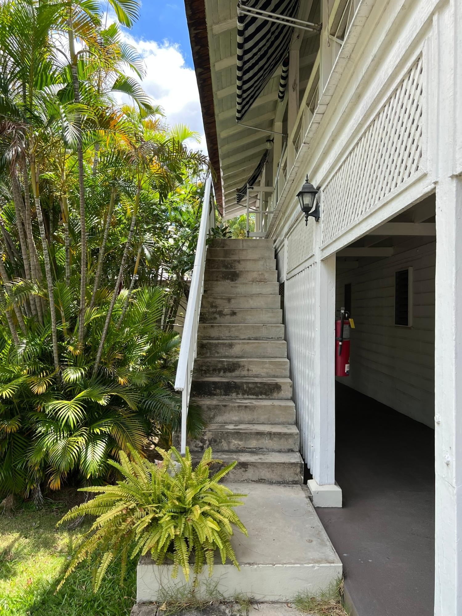 Twenty-First image of 8-184a Constant Spring Road in Kingston 8, St. Andrew, Jamaica - property is For Rent