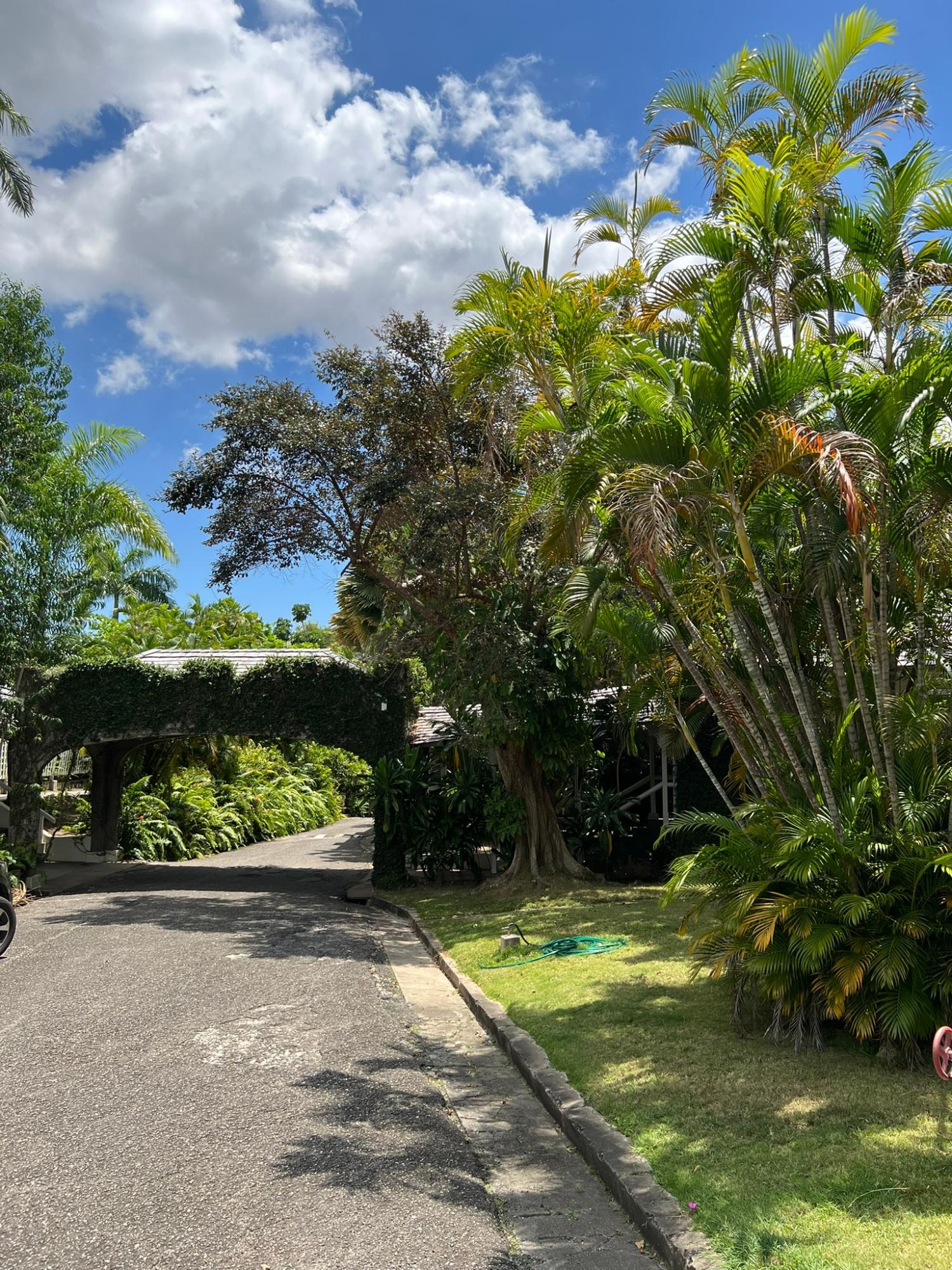 Twenty-Second image of 8-184a Constant Spring Road in Kingston 8, St. Andrew, Jamaica - property is For Rent