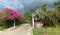 First image of 31 Goffe Avenue in St. Jago Heights, St. Catherine, Jamaica - property is For Rent
