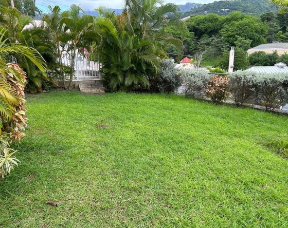 Eighteenth image of 40-5 Graham Heights in Kingston 6, St. Andrew, Jamaica - property is For Rent