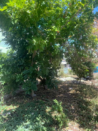 Sixteenth image of 346 Sunset Crescent in Above Rocks, St. Catherine, Jamaica - property is For Rent