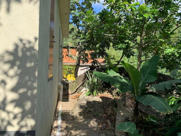Seventh image of Grandy Hole in Castleton, St. Mary, Jamaica - property is For Rent