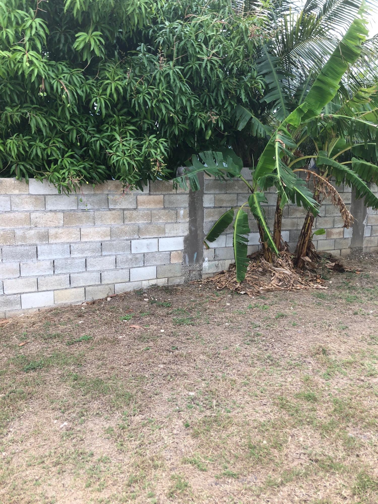 Third image of Lot 33- Stamen Close Jacaranda, s in JACARANDA (U/C), St. Catherine, Jamaica - property is For Rent