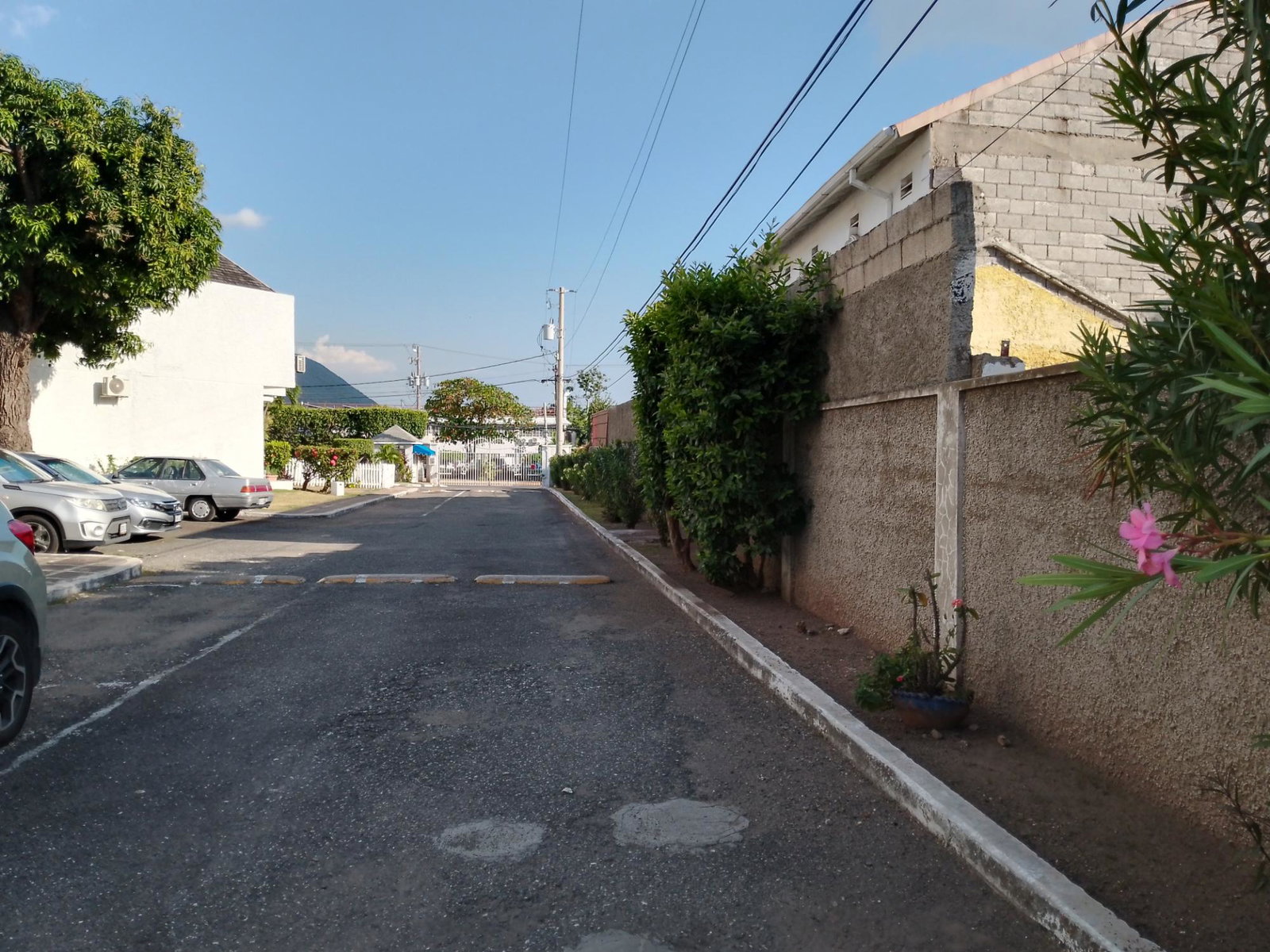 Thirteenth image of 25-12 a Seymour Square, Kingston in Kingston 6, St. Andrew, Jamaica - property is For Rent