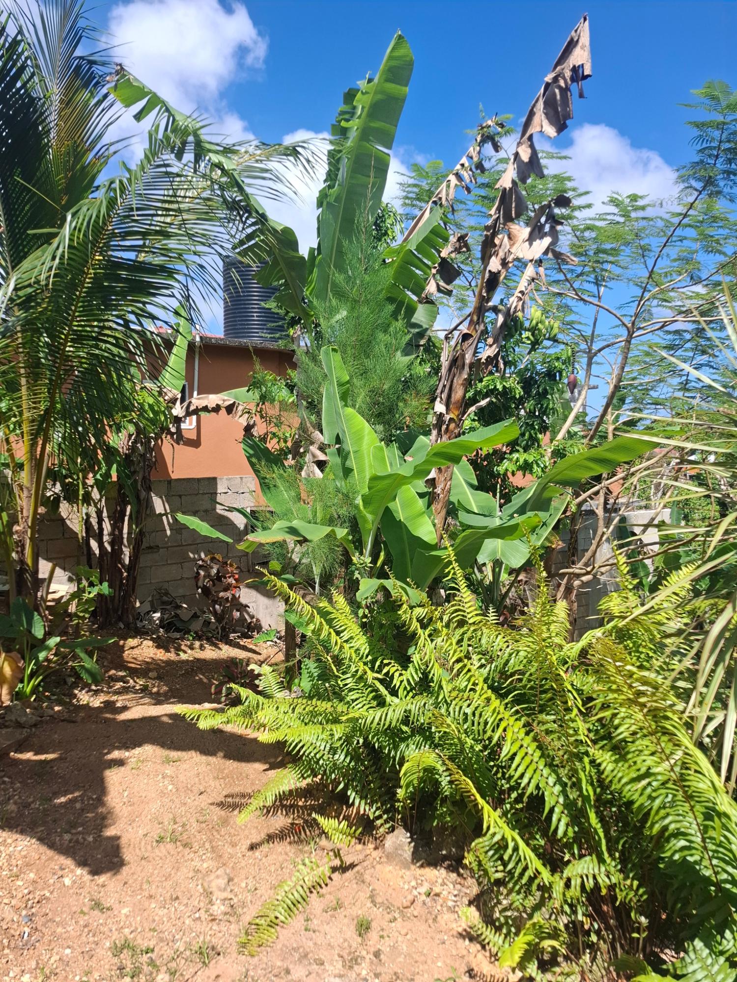 Twelfth image of 3 Beecher Town in Ocho Rios, St. Ann, Jamaica - property is For Sale