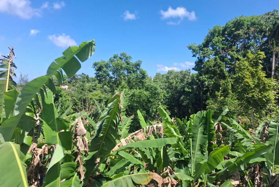 Seventh image of 3 Beecher Town in Ocho Rios, St. Ann, Jamaica - property is For Sale