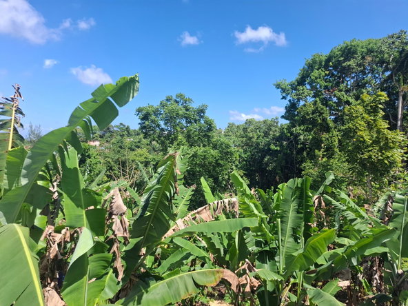 Seventh image of 3 Beecher Town in Ocho Rios, St. Ann, Jamaica - property is For Sale