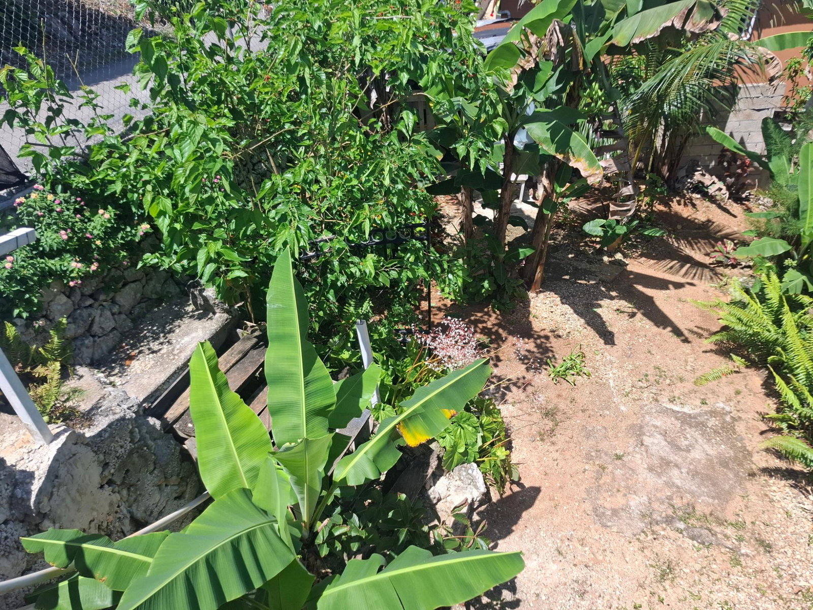 Tenth image of 3 Beecher Town in Ocho Rios, St. Ann, Jamaica - property is For Sale