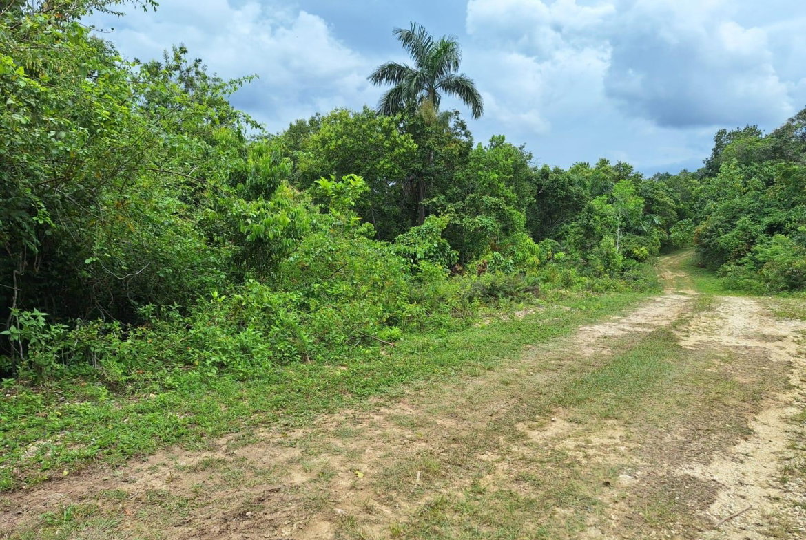 Second image of Sligoville Main Road in Sligoville, St. Catherine, Jamaica - property is For Sale