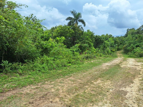 Second image of Sligoville Main Road in Sligoville, St. Catherine, Jamaica - property is For Sale