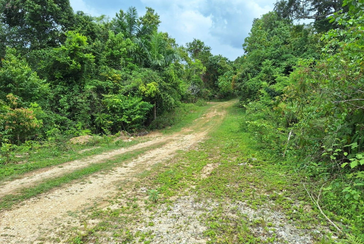 First image of Sligoville Main Road in Sligoville, St. Catherine, Jamaica - property is For Sale