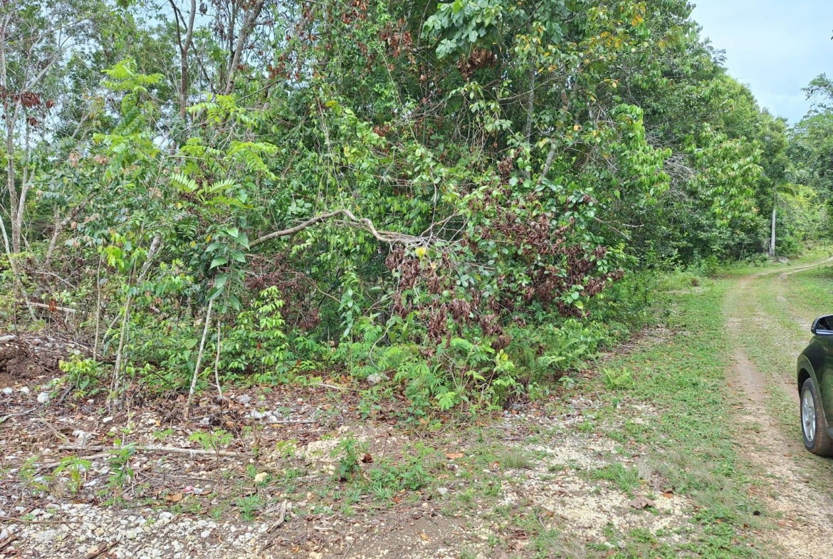 Third image of Sligoville Main Road in Sligoville, St. Catherine, Jamaica - property is For Sale