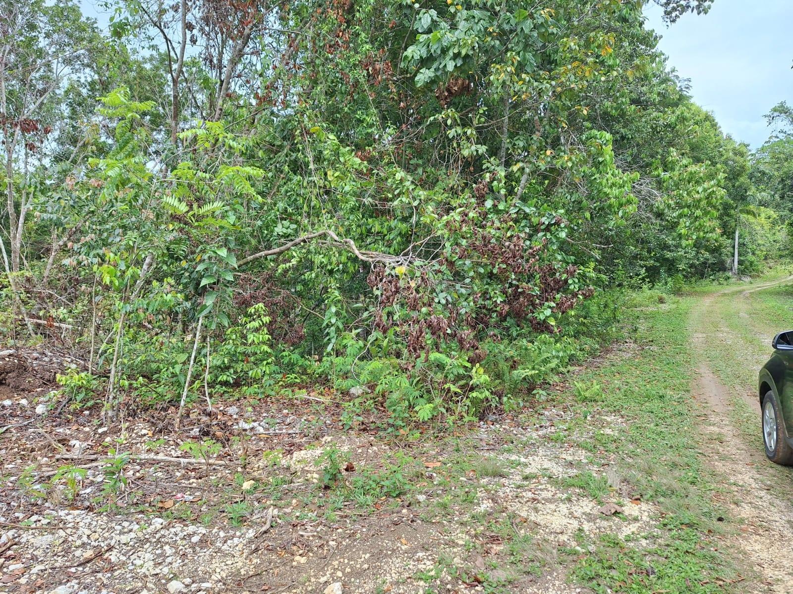21-Acre-Scenic-Property-for-Sale-in-Sligoville-St.-Catherine-Jamaica Third image of Sligoville Main Road in Sligoville, St. Catherine, Jamaica - property is For Sale