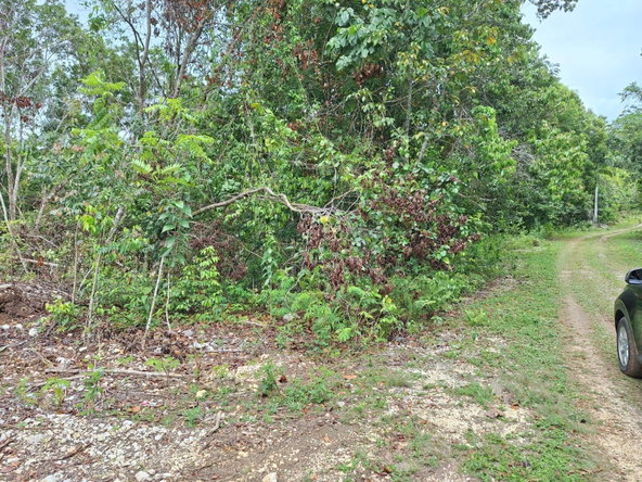 Third image of Sligoville Main Road in Sligoville, St. Catherine, Jamaica - property is For Sale