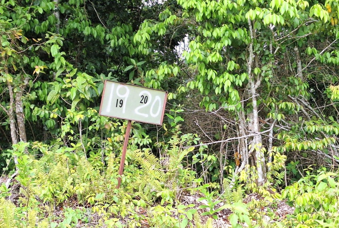 Fourth image of Sligoville Main Road in Sligoville, St. Catherine, Jamaica - property is For Sale