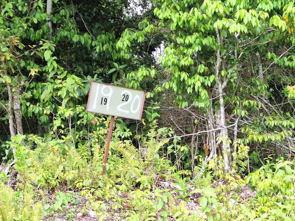 Fourth image of Sligoville Main Road in Sligoville, St. Catherine, Jamaica - property is For Sale