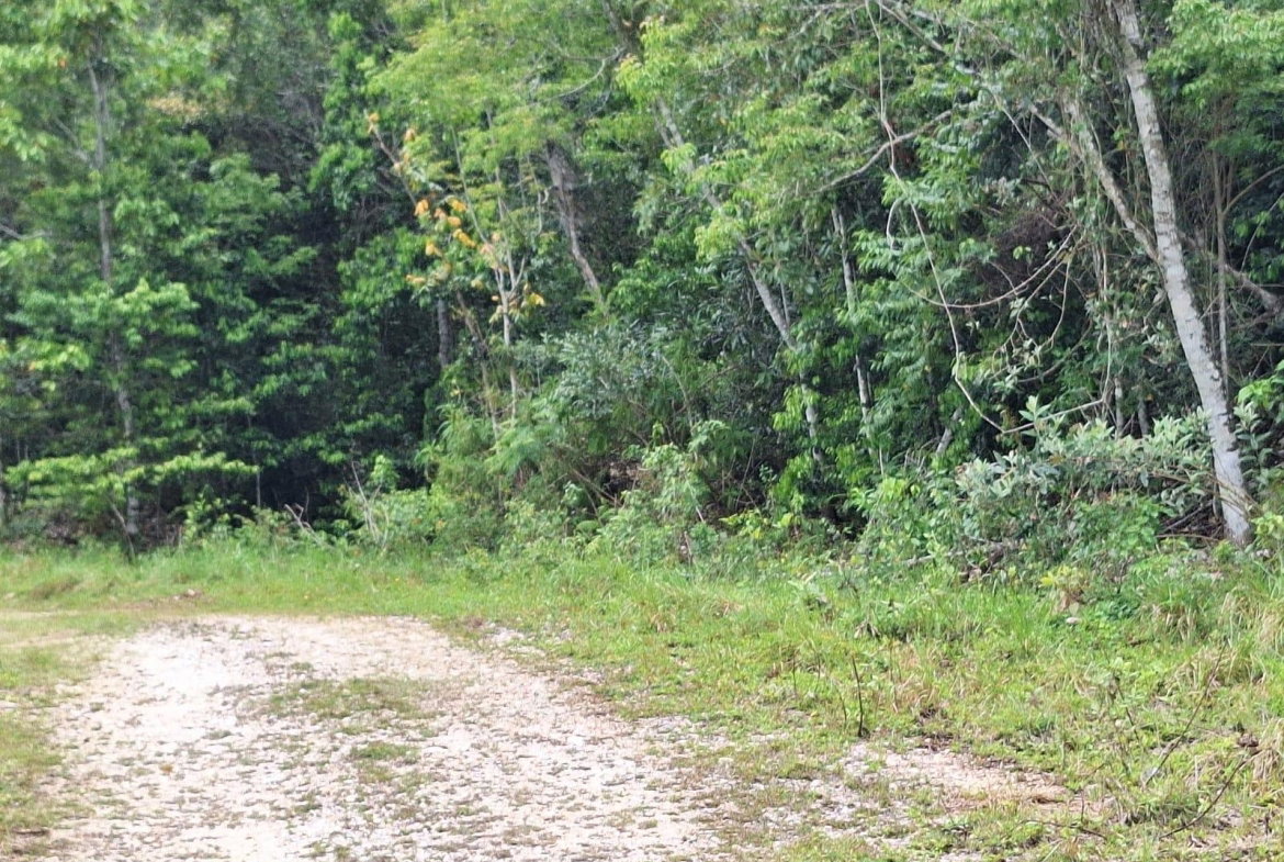 Fifth image of Sligoville Main Road in Sligoville, St. Catherine, Jamaica - property is For Sale