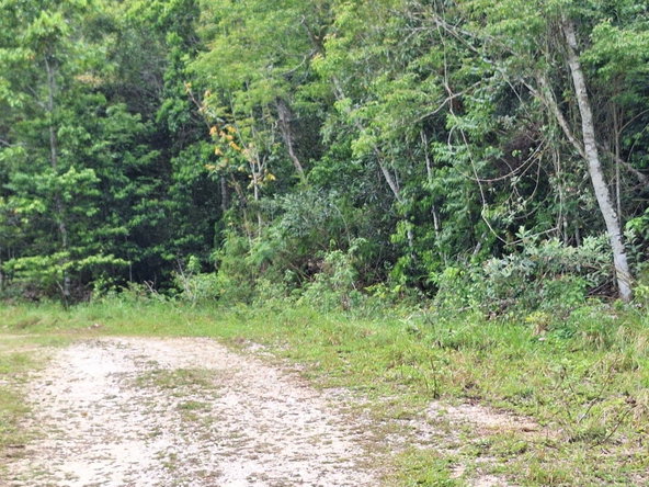 Fifth image of Sligoville Main Road in Sligoville, St. Catherine, Jamaica - property is For Sale