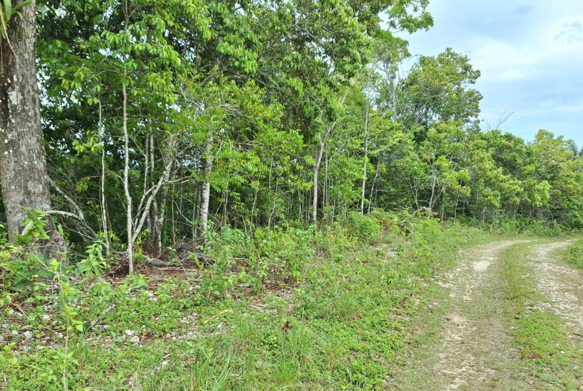 Sixth image of Sligoville Main Road in Sligoville, St. Catherine, Jamaica - property is For Sale