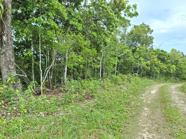Sixth image of Sligoville Main Road in Sligoville, St. Catherine, Jamaica - property is For Sale