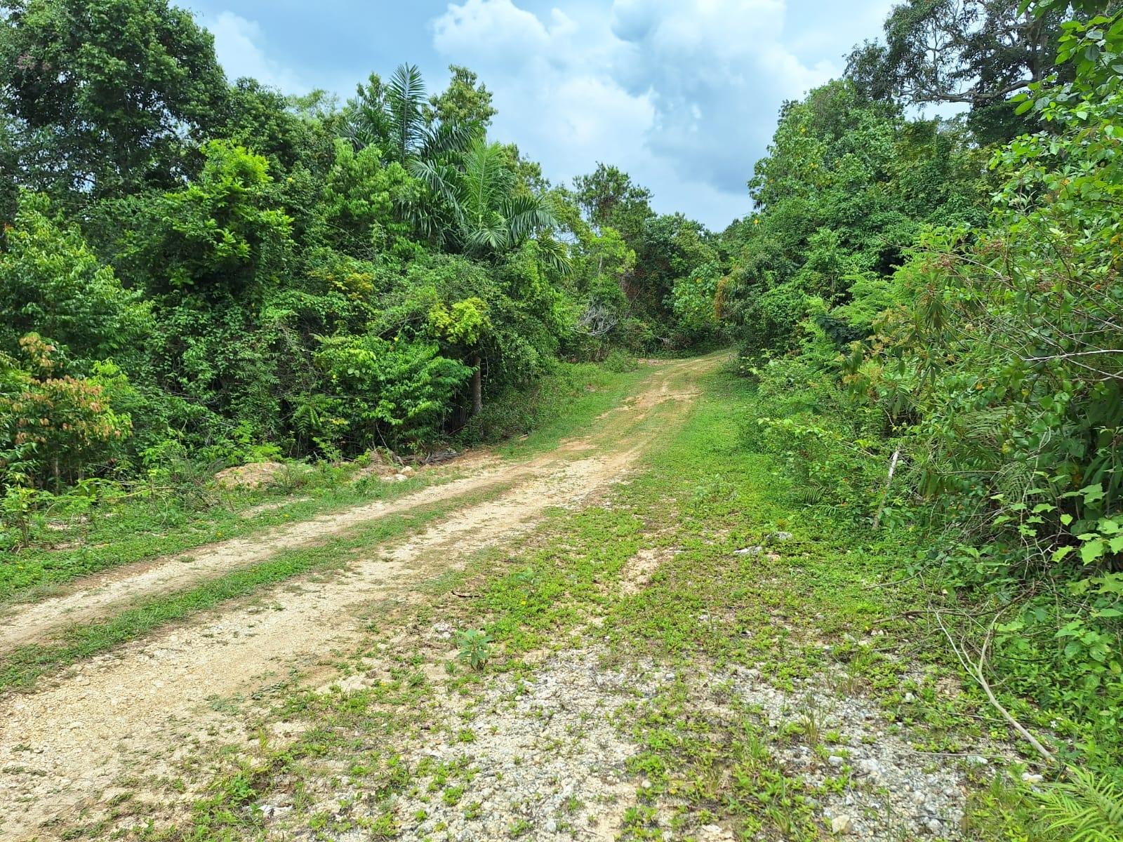 21-Acre-Scenic-Property-for-Sale-in-Sligoville-St.-Catherine-Jamaica First image of Sligoville Main Road in Sligoville, St. Catherine, Jamaica - property is For Sale