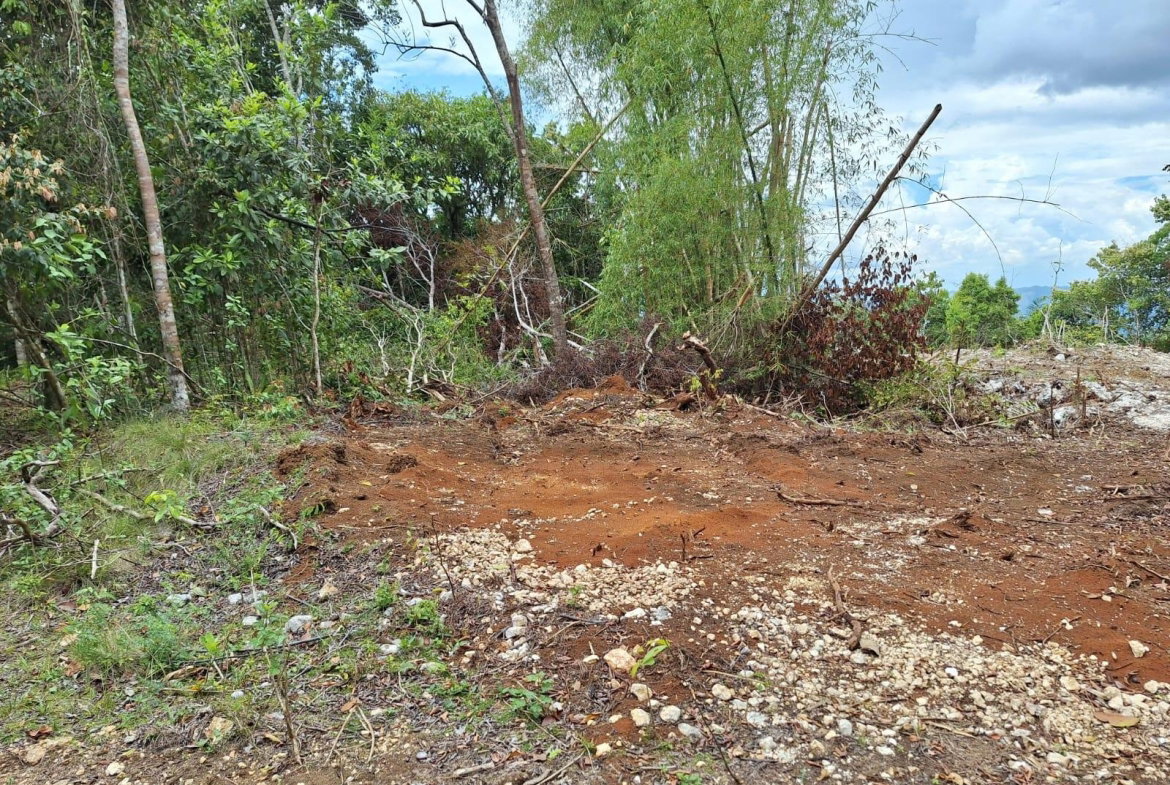 Second image of Sligoville Main Road in Sligoville, St. Catherine, Jamaica - property is For Sale