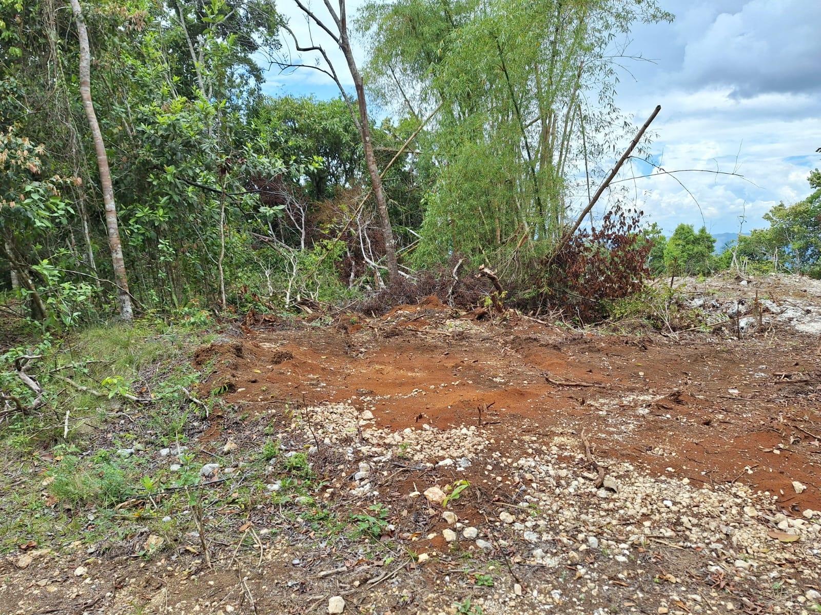 21.4-Acre-Scenic-Farm-Land-for-Sale-in-Sligoville-St.-Catherine-Jamaica Second image of Sligoville Main Road in Sligoville, St. Catherine, Jamaica - property is For Sale