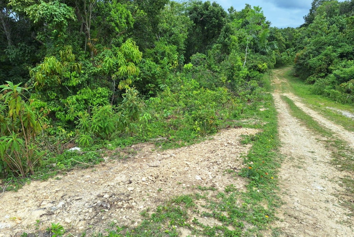 Third image of Sligoville Main Road in Sligoville, St. Catherine, Jamaica - property is For Sale