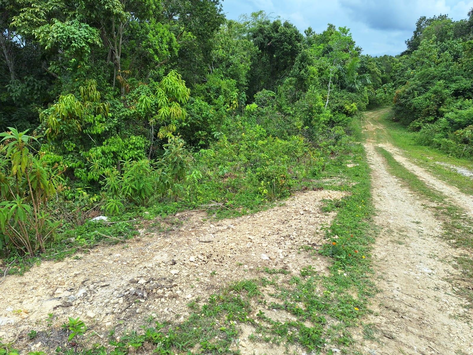 21.4-Acre-Scenic-Farm-Land-for-Sale-in-Sligoville-St.-Catherine-Jamaica Third image of Sligoville Main Road in Sligoville, St. Catherine, Jamaica - property is For Sale