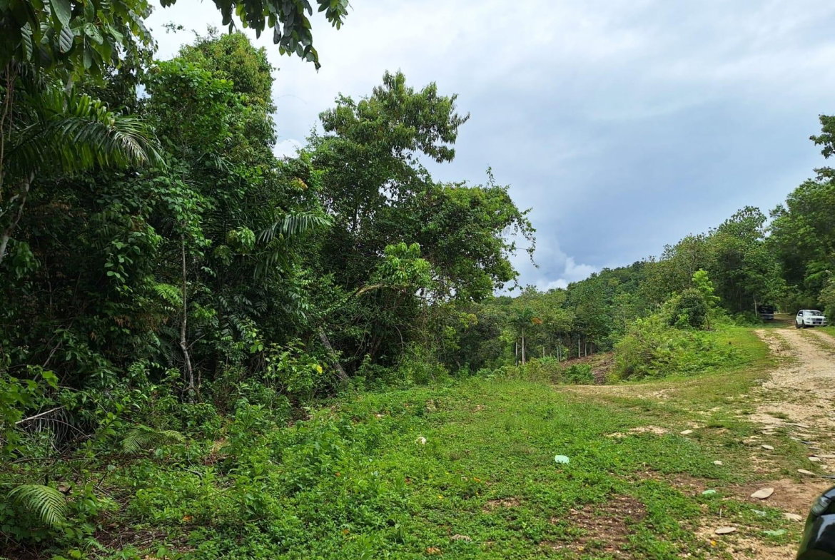 Fourth image of Sligoville Main Road in Sligoville, St. Catherine, Jamaica - property is For Sale