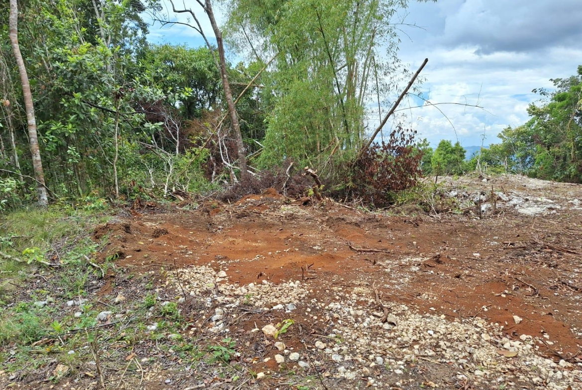 Fifth image of Sligoville Main Road in Sligoville, St. Catherine, Jamaica - property is For Sale