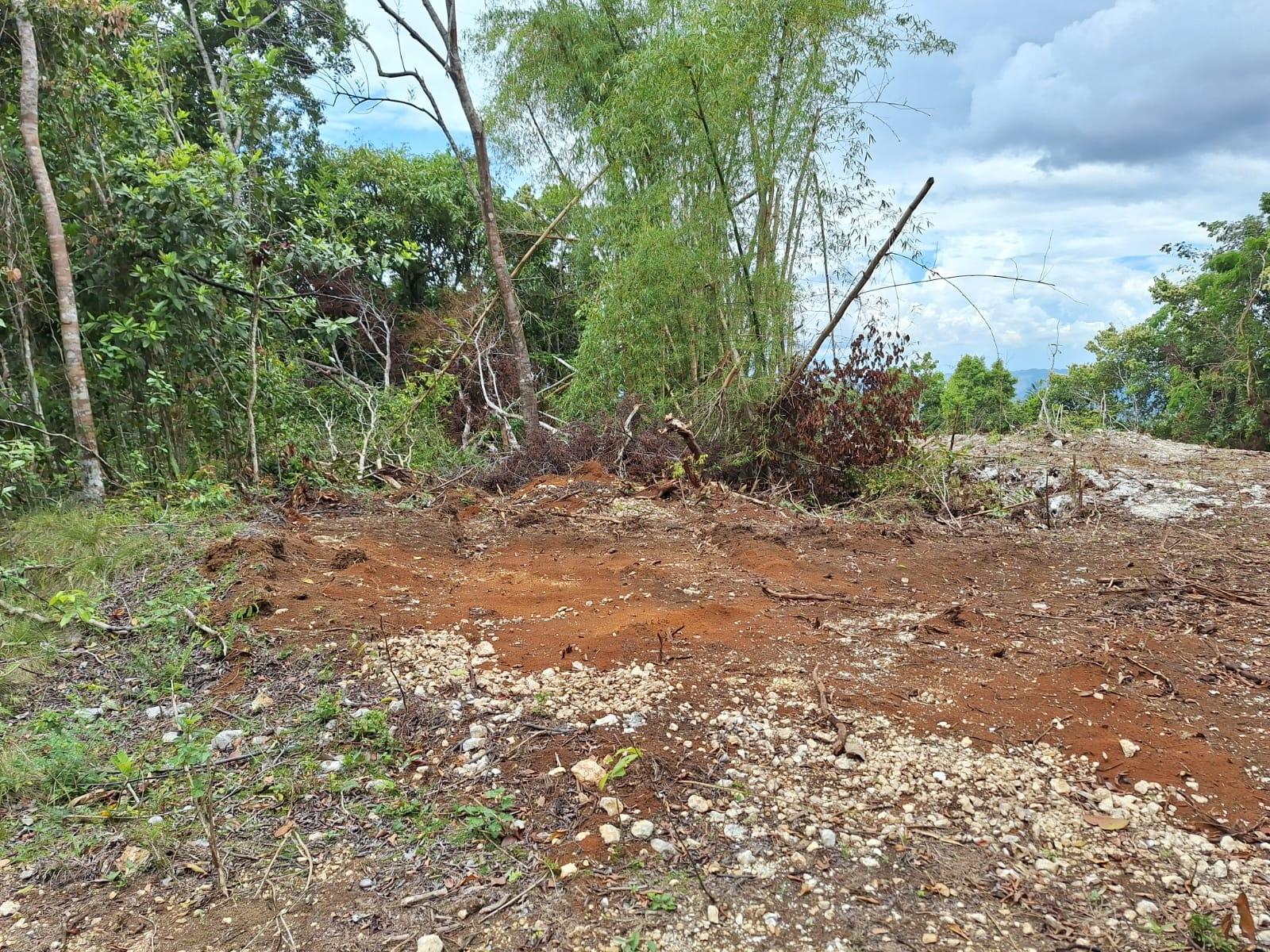 21.4-Acre-Scenic-Farm-Land-for-Sale-in-Sligoville-St.-Catherine-Jamaica Fifth image of Sligoville Main Road in Sligoville, St. Catherine, Jamaica - property is For Sale