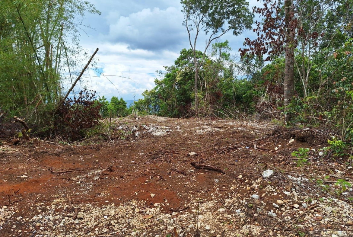 Sixth image of Sligoville Main Road in Sligoville, St. Catherine, Jamaica - property is For Sale