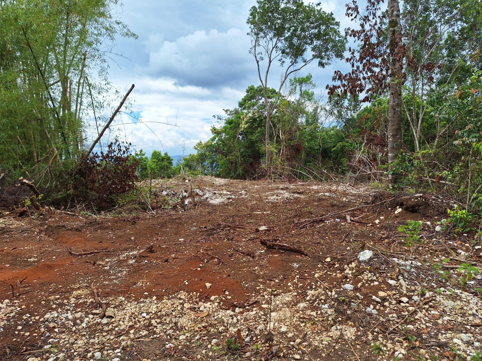 21.4-Acre-Scenic-Farm-Land-for-Sale-in-Sligoville-St.-Catherine-Jamaica Sixth image of Sligoville Main Road in Sligoville, St. Catherine, Jamaica - property is For Sale