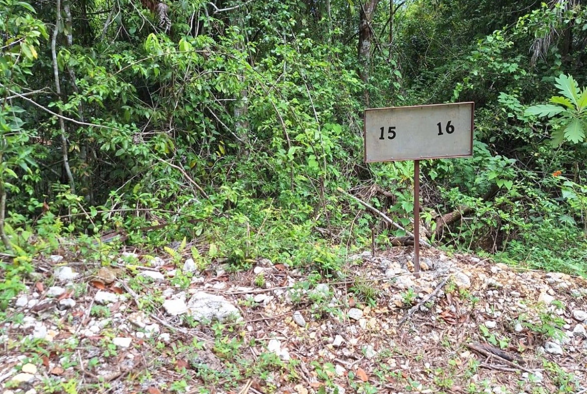Second image of Sligoville Main Road in Sligoville, St. Catherine, Jamaica - property is For Sale