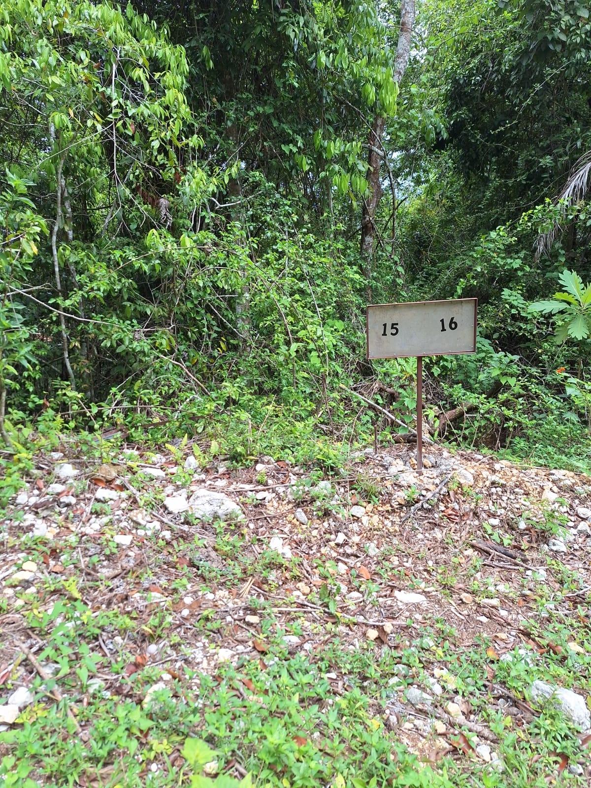 22-Acre-Scenic-Property-for-Sale-in-Sligoville-St.-Catherine-Jamaica Second image of Sligoville Main Road in Sligoville, St. Catherine, Jamaica - property is For Sale