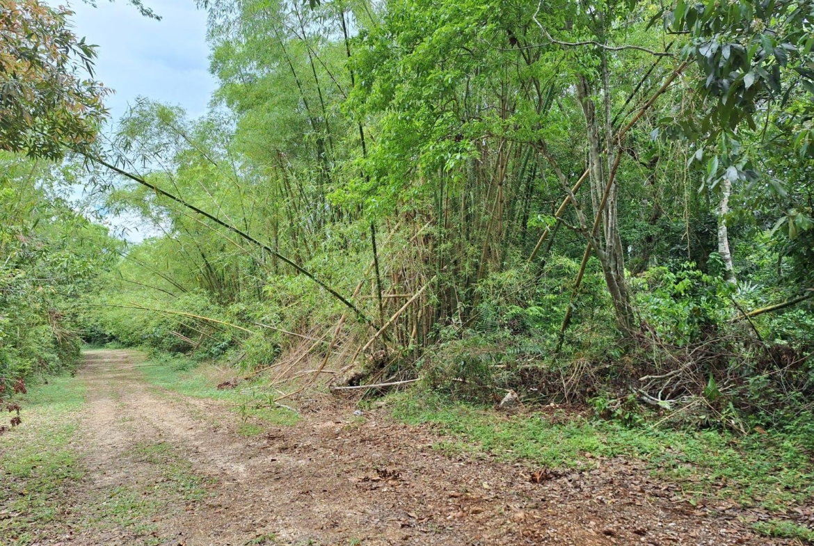 Fifth image of Sligoville Main Road in Sligoville, St. Catherine, Jamaica - property is For Sale
