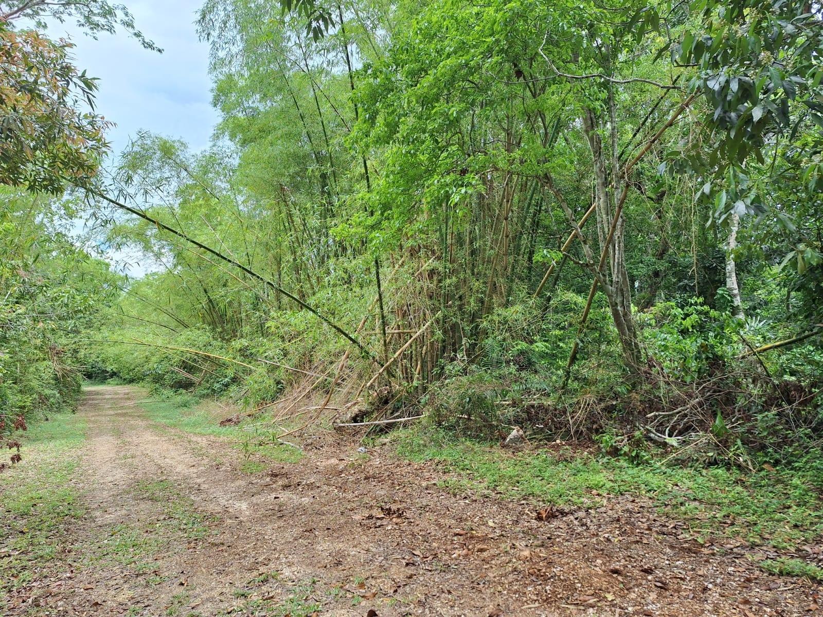 22-Acre-Scenic-Property-for-Sale-in-Sligoville-St.-Catherine-Jamaica Fifth image of Sligoville Main Road in Sligoville, St. Catherine, Jamaica - property is For Sale
