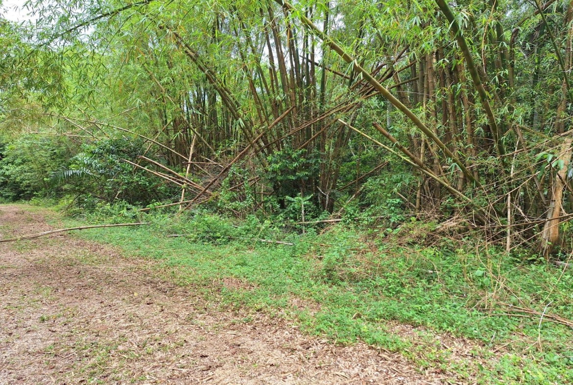Sixth image of Sligoville Main Road in Sligoville, St. Catherine, Jamaica - property is For Sale